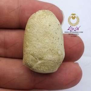 خرمهره اصلی